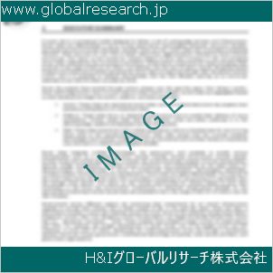 グローバルリサーチ調査資料のイメージ